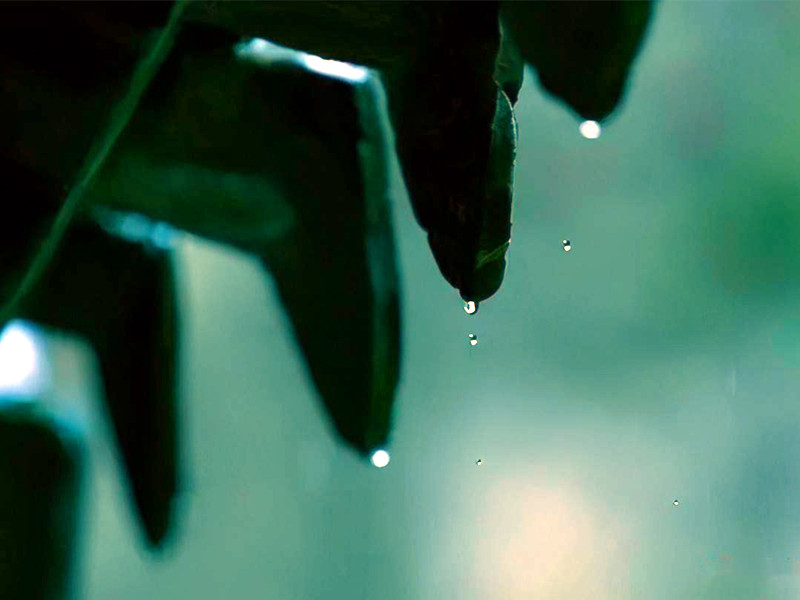 聽雨有感