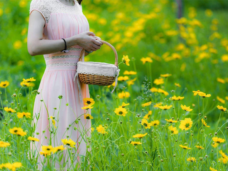 人生淡然如花，行走一路芬芳